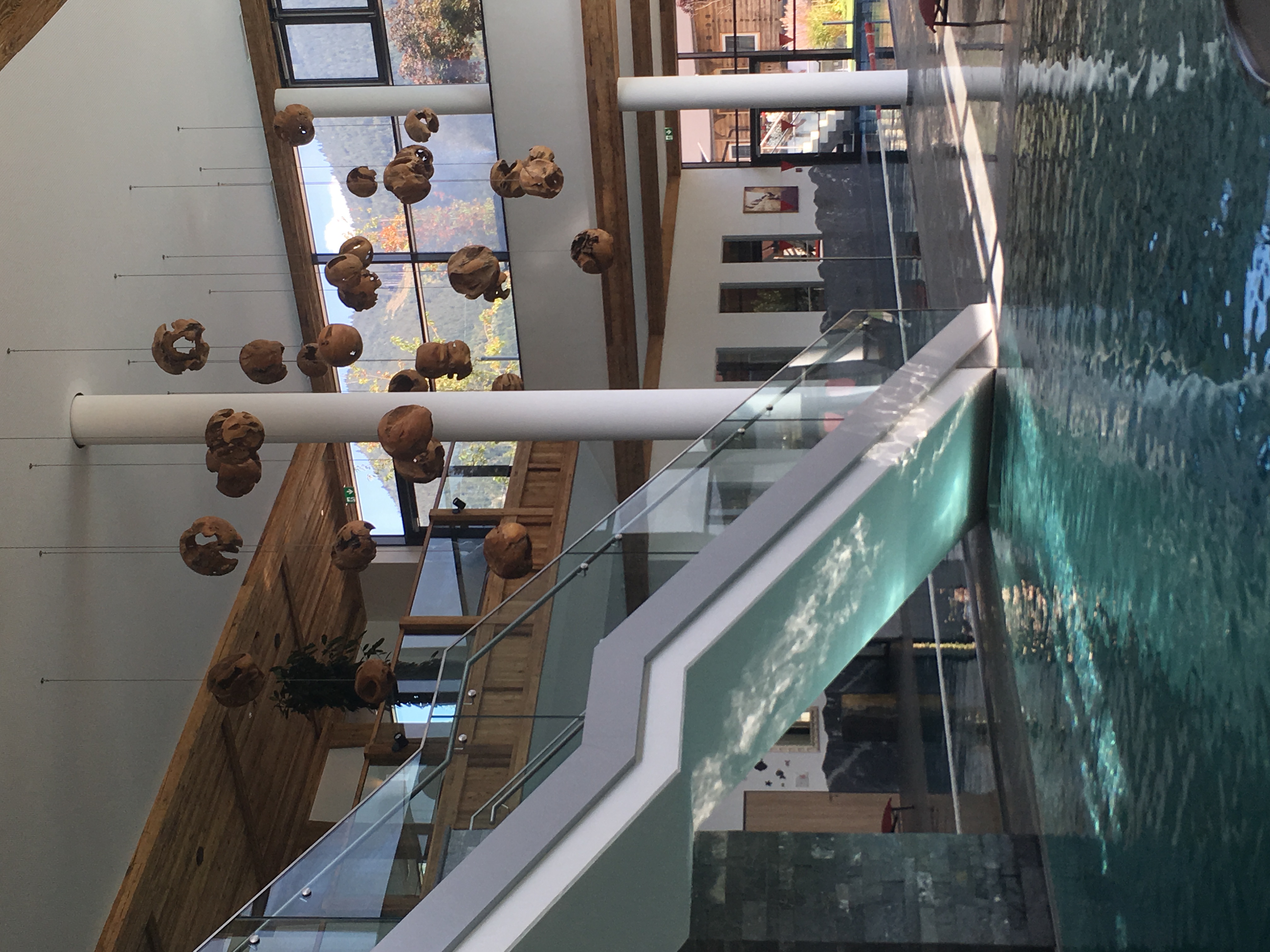  protahování s Věrkou V. (fyzioterapeut) + relax v sauně Woferlgut